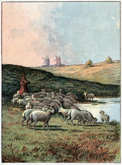 Flock of Sheep by Unknown